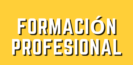 FORMACIÓN PROFESIONAL