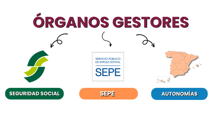 Órganos gestores